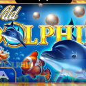 Wild Dolphin GameArt